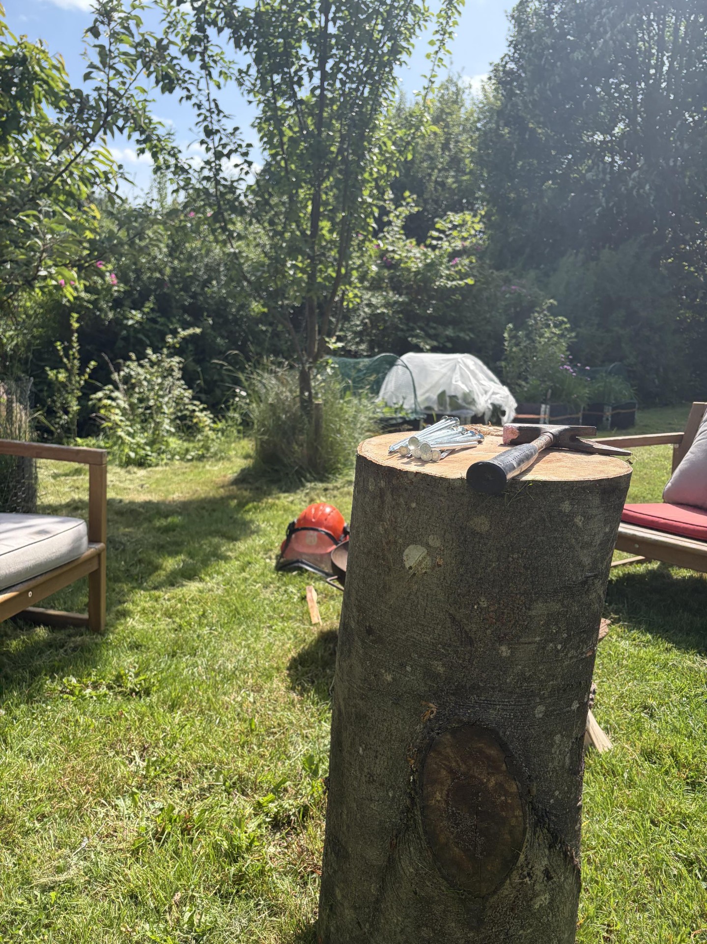 Høj bøgestub som sømblok i sommerhave