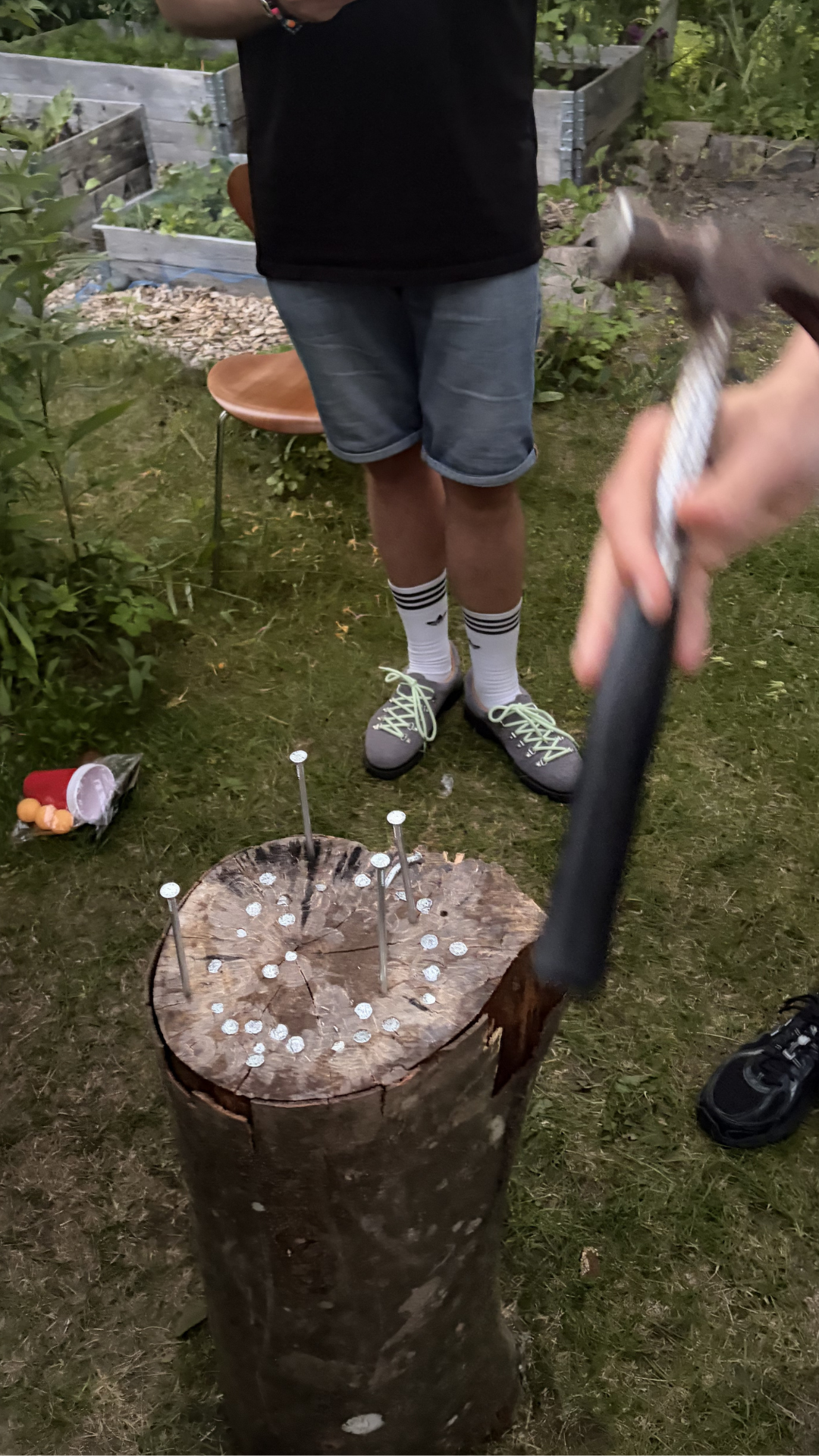 Spiller slår søm i bøgestubben til havefest